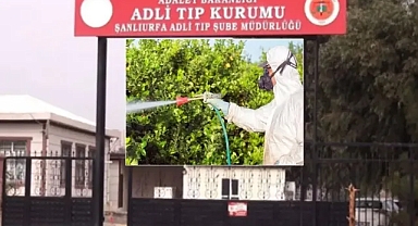 17 yaşındaki genci tarım ilacı mı hayattan kopardı?