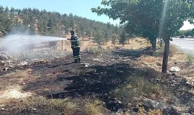 Eyyübiye'de orman yangını