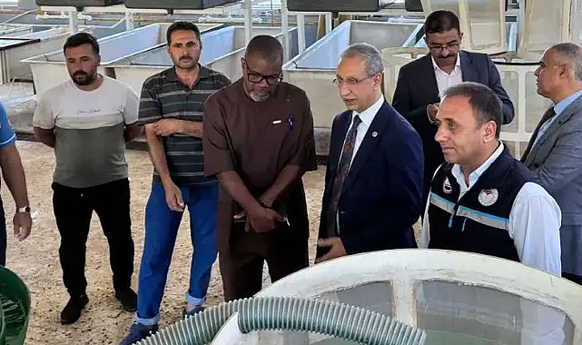 Gana Büyükelçisi, Urfa’daki potansiyelleri inceledi