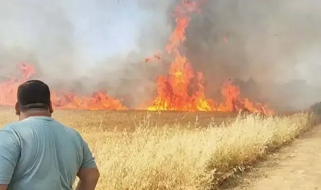 Harran'da korkutan yangın
