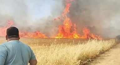 Harran'da korkutan yangın