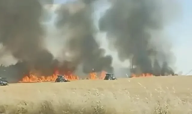 Harran'da tarlalar, alevlere teslim oldu