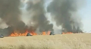 Harran'da tarlalar, alevlere teslim oldu