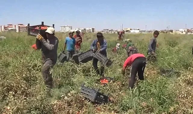 Mevsimlik Göç, şehri hayalet şehre çevirdi