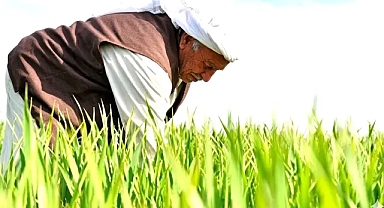Şanlıurfa çiftçisine EYT kapısı açıldı