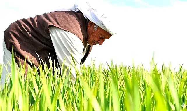 Şanlıurfa çiftçisine EYT kapısı açıldı