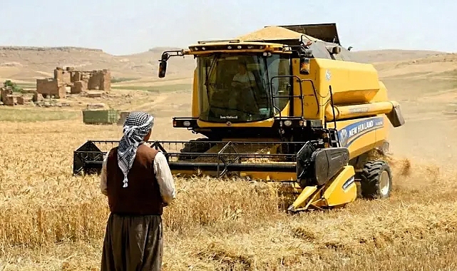 Şanlıurfa'da hububat biçim fiyatları açıklandı