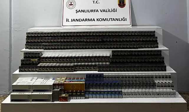 Şanlıurfa'da jandarmadan 22 kişi hakkında resmi işlem