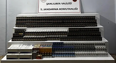 Şanlıurfa'da jandarmadan 22 kişi hakkında resmi işlem