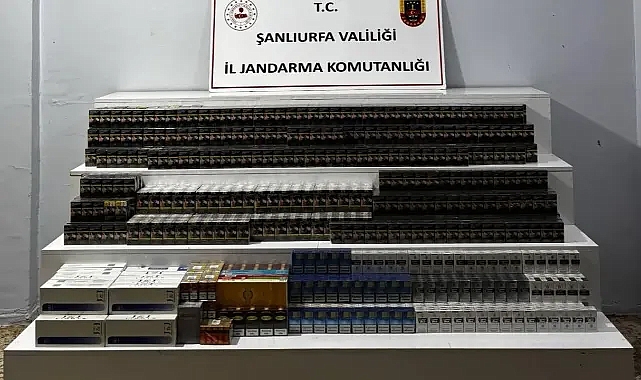 Şanlıurfa'da jandarmadan 22 kişi hakkında resmi iş