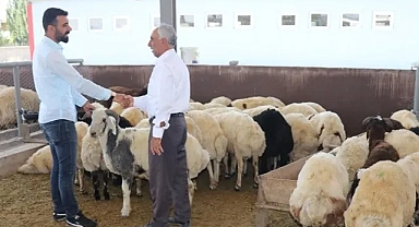 Şanlıurfa'da KBKD Projesi ilk etap sonuçları açıklandı