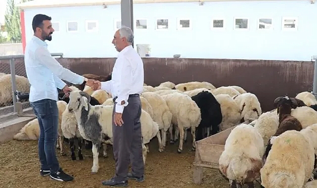 Şanlıurfa'da KBKD Projesi ilk etap sonuçları açıklandı