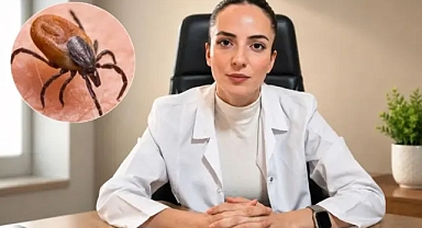 Şanlıurfa'da uzmanlardan 'Kene' uyarısı geldi (VİDEO)