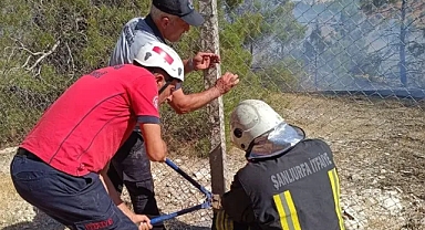Şanlıurfa İtfaiyesi, bir günlük bilançosunu açıkladı