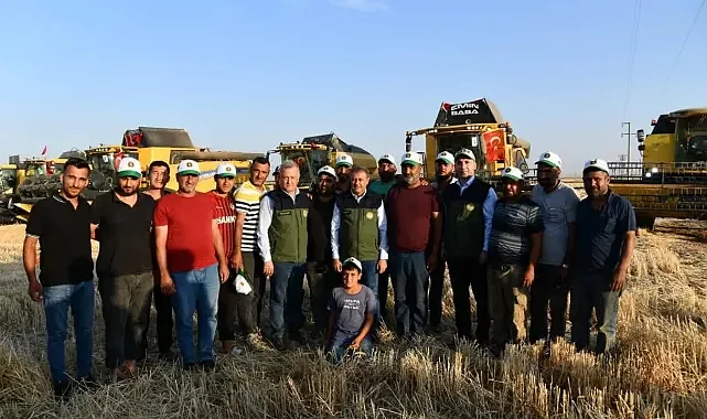 Şanlıurfa TİGEM'de buğday hasadı başladı