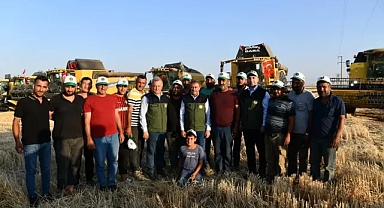 Şanlıurfa TİGEM'de buğday hasadı başladı