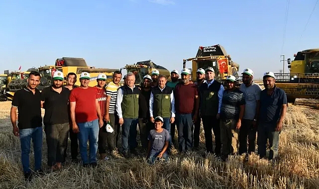 Şanlıurfa TİGEM'de buğday hasadı başladı