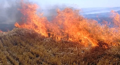 Tarlalar bir bir yanıyor: Sigorta, bu noktada ne kadar önemli?