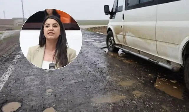 TBMM Gündeminde Ceylanpınar-Kızıltepe yolu