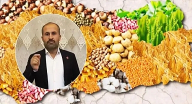 Toygar: Taban fiyatlar, ekim öncesi açıklansın