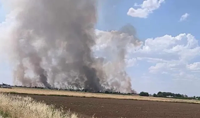 Uyarılara rağmen anız yangınları devam ediyor