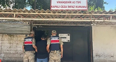 Yağma suçundan hüküm yemiş suçlu Viranşehir'de yakalandı