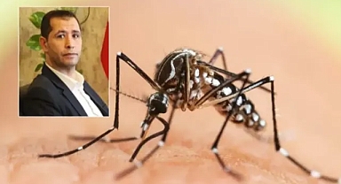 Yiğit’ten belediyelere sinek ve sivrisinek çağrısı
