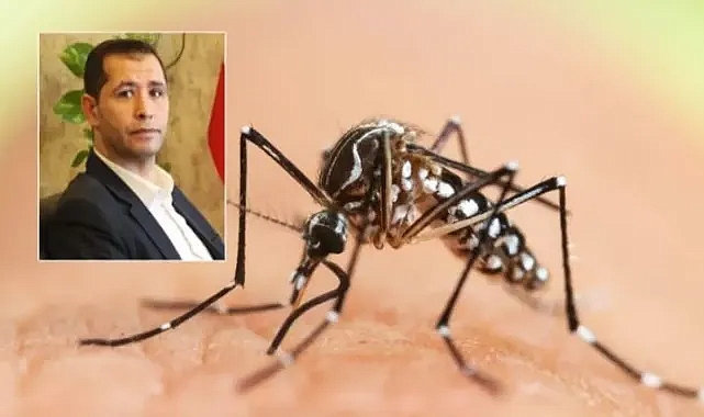 Yiğit’ten belediyelere sinek ve sivrisinek çağrısı