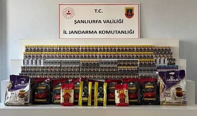 Jandarmadan operasyon: 11 şüpheli hakkında resmi işlem başlatıldı