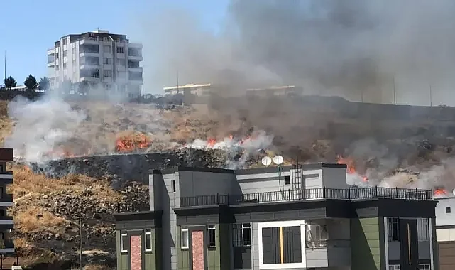 Karaköprü'de kuru ot yangını paniğe neden oldu