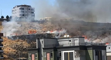 Karaköprü'de kuru ot yangını paniğe neden oldu