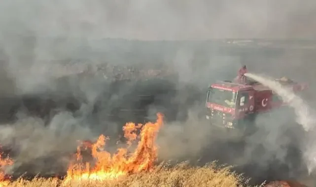 Şanlıurfa’da 150 dönüm arazi daha alevlere teslim oldu