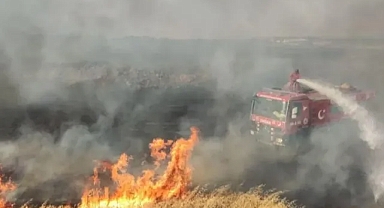 Şanlıurfa’da 150 dönüm arazi daha alevlere teslim oldu