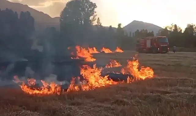 Şanlıurfa’da anız yakanlara yüksek miktarda ceza