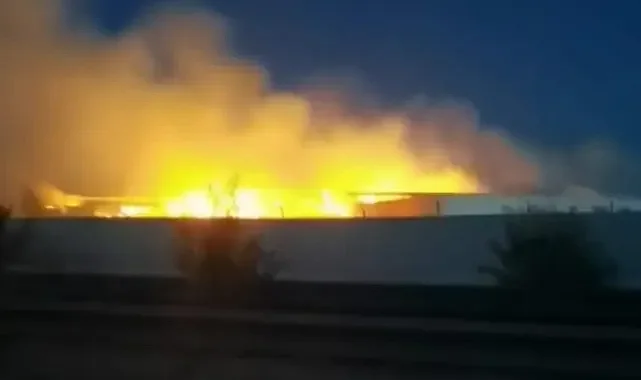 Şanlıurfa'da besi çiftliğinde büyük yangın