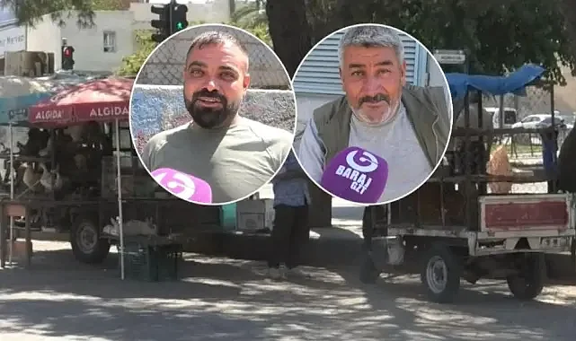 Şanlıurfa'da Canlı Tavuk satıcılarından yer talebi (VİDEO)