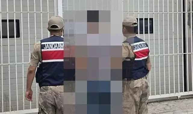 Şanlıurfa’da 'enerji hırsızı' jandarma tarafından yakalandı