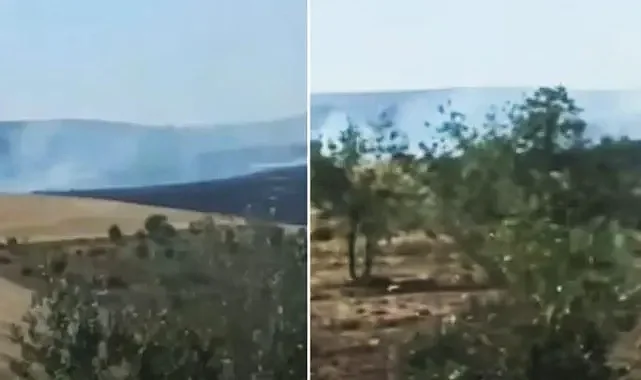 Şanlıurfa'da Germuş bölgesinde korkutan yangın