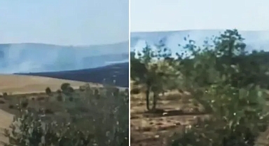 Şanlıurfa'da Germuş bölgesinde korkutan yangın