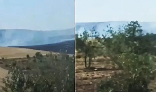 Şanlıurfa'da Germuş bölgesinde korkutan yangın
