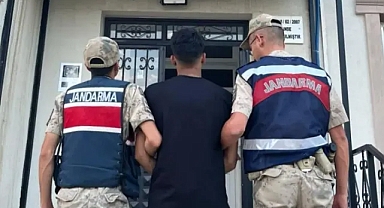 Şanlıurfa'da hırsızlık hükümlüsü Jandarmadan kaçamadı