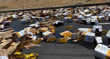 Şanlıurfa'da sıvı yağ yüklü TIR devrildi