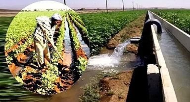Şanlıurfa'nın gizli düşmanı; Vahşi sulama