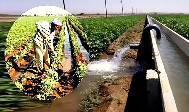 Şanlıurfa'nın gizli düşmanı; Vahşi sulama