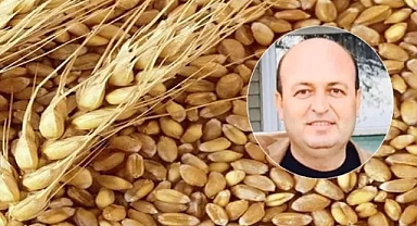 Ziraat Mühendisi Toy: Artık, sadece buğday ekeceğim !