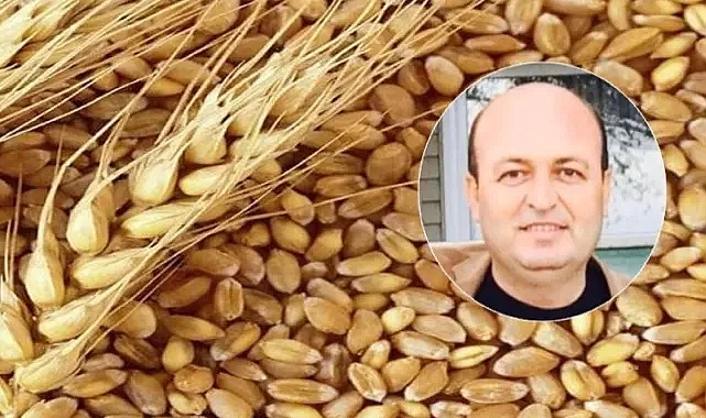 Ziraat Mühendisi Toy: Artık, sadece buğday ekeceğim !