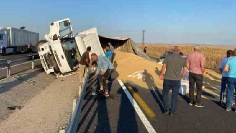Urfa’da arpa yüklü TIR devrildi