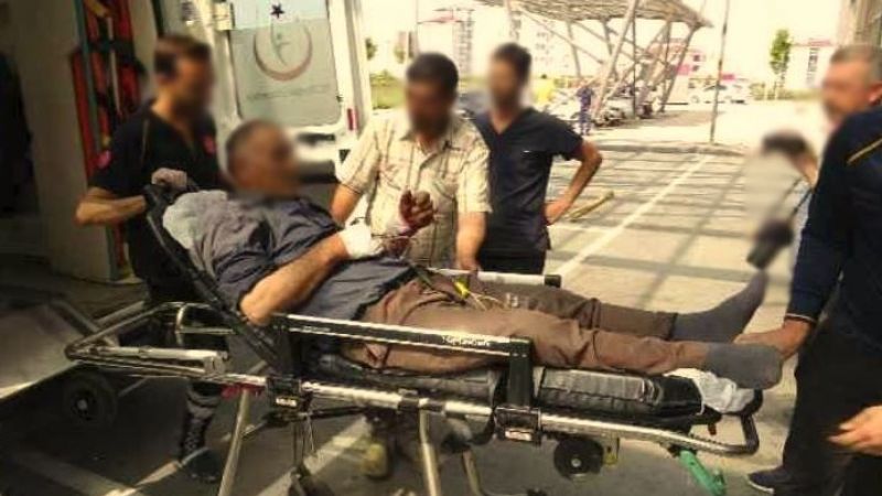 Urfa’da kaç acemi kasap kendini kesti ?