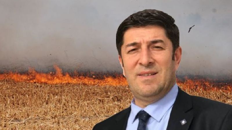 HRÜ’lü Akademisyenden ‘Anız’ uyarısı