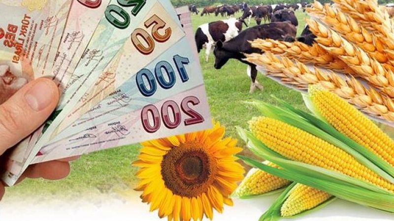 Çiftçilerin hesabına desteklemeler yatıyor